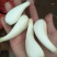 马家藠头