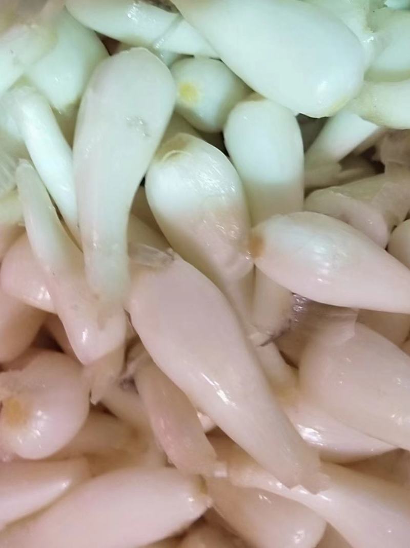 马家藠头