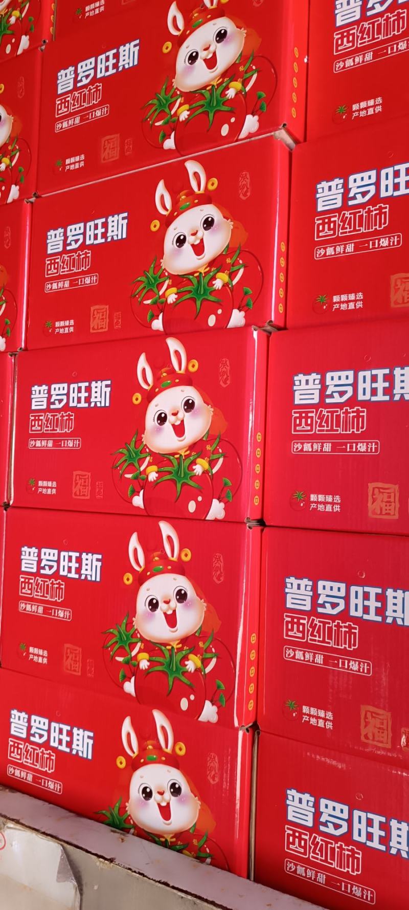 山东烟台海阳普罗旺斯西红柿团购微商电商供应链水果