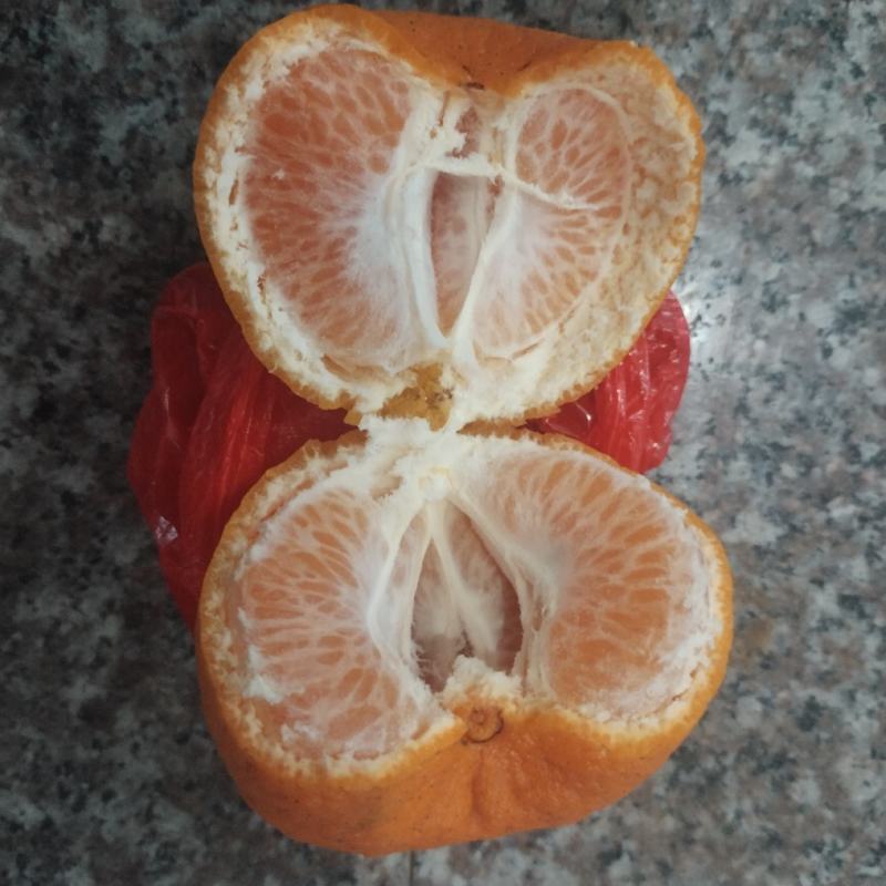 碰柑