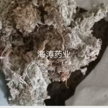 绵菌陈..中药材批发.质量保证规格齐全.
