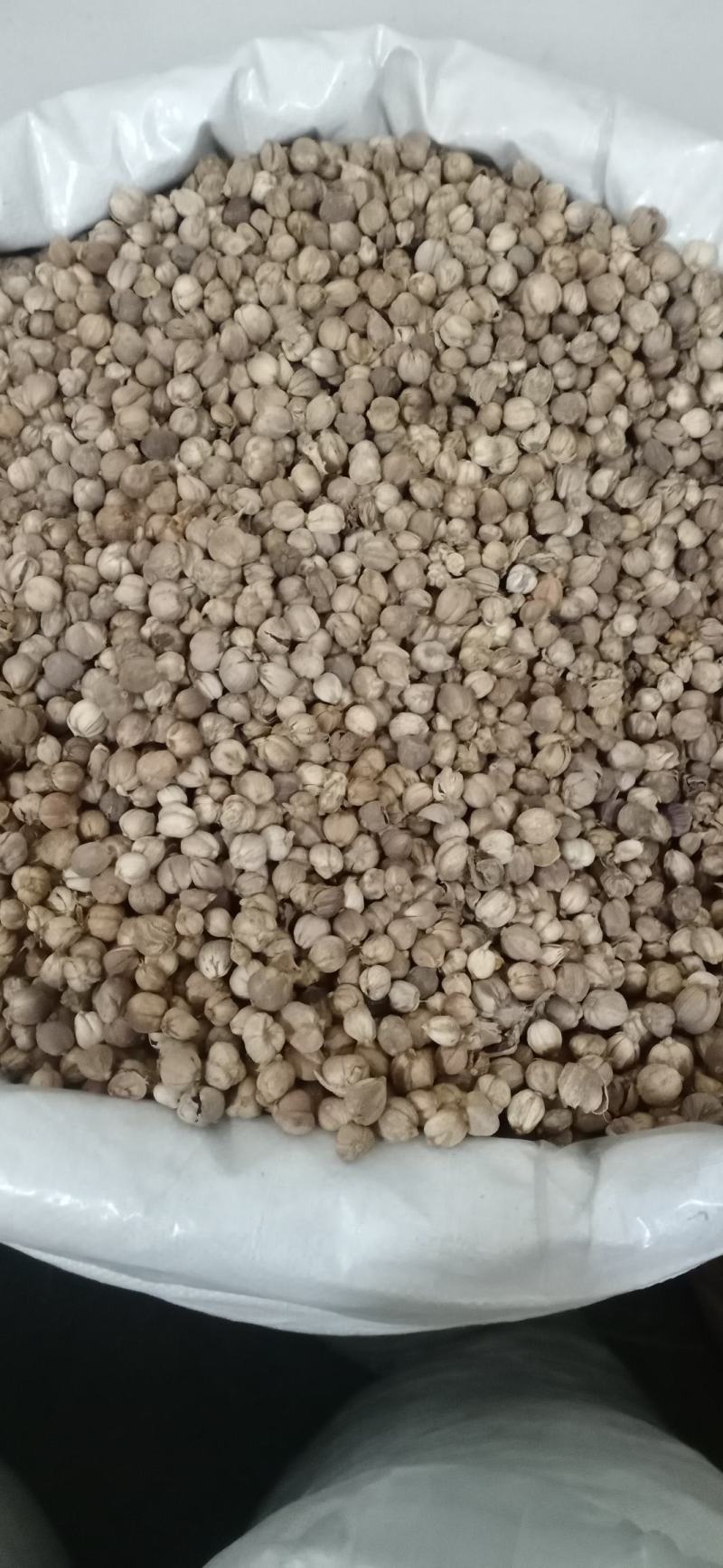 【白豆寇】.产地.中药材批发.质量保证规格齐全.