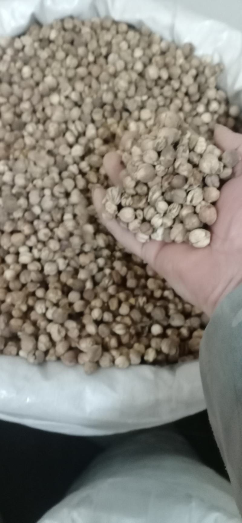 【白豆寇】.产地.中药材批发.质量保证规格齐全.