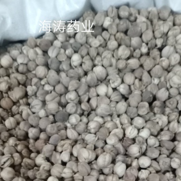 【白豆寇】.产地.中药材批发.质量保证规格齐全.