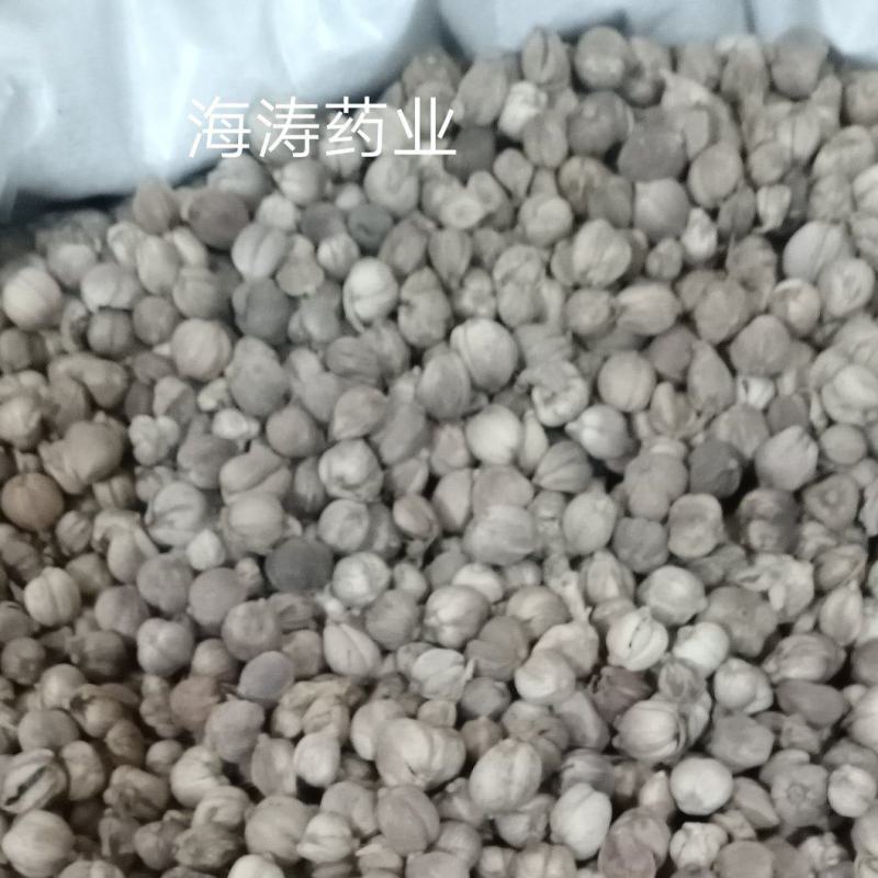 【白豆寇】.产地.中药材批发.质量保证规格齐全.