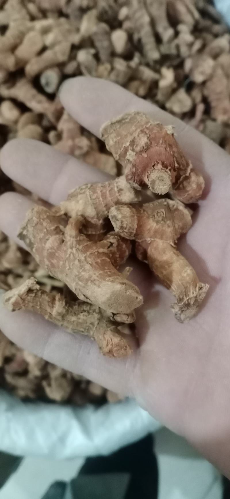 【高良姜】个片，产地中药材批发.质量保证规格齐全.