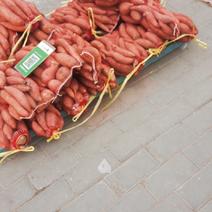 红薯，有两千多斤，便宜卖了，谁要就过来拉吧，可以讲价