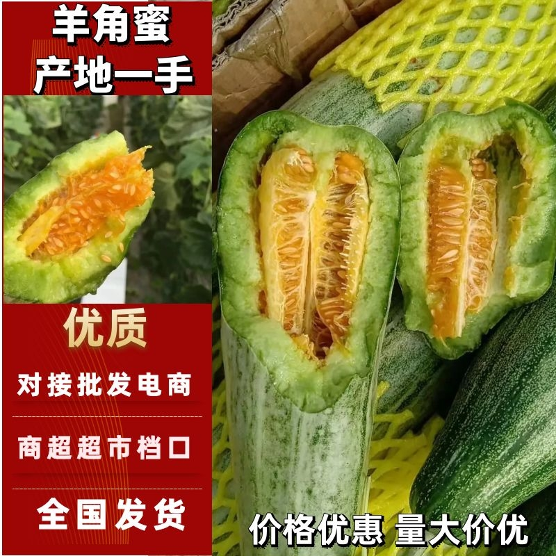 羊角蜜甜瓜大量供应各大电商、批发、零卖