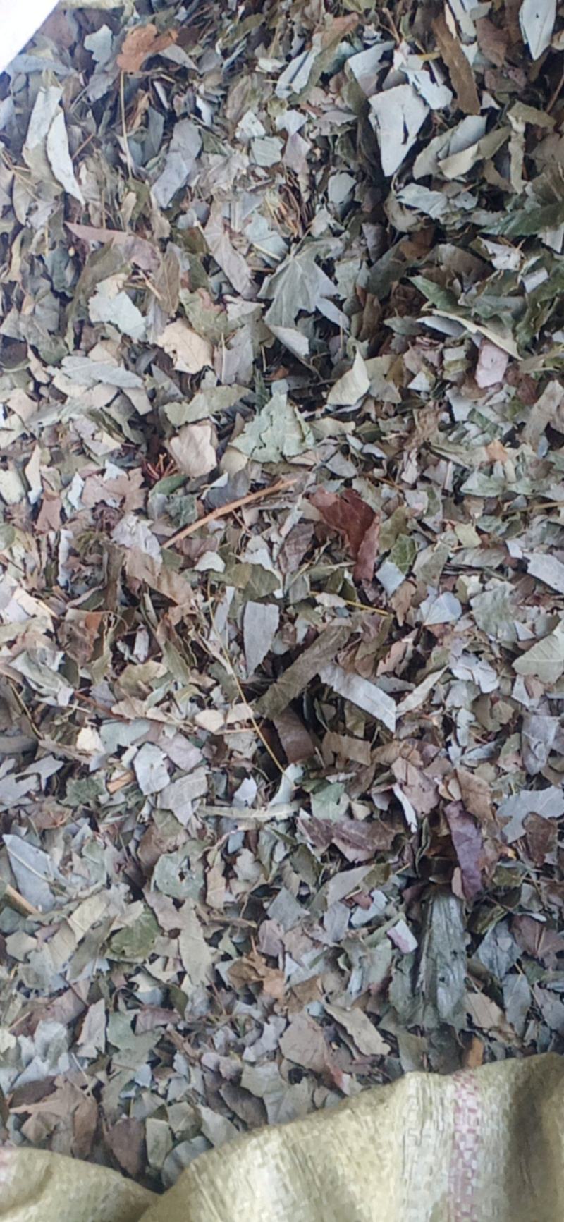 淫羊藿.羊火叶.新货无杂..中药材批发.质量保证规格齐全