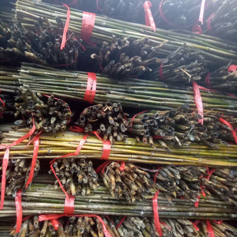 短节菜架竹，规格齐全，山头价直销，价格优惠，量大从优。
