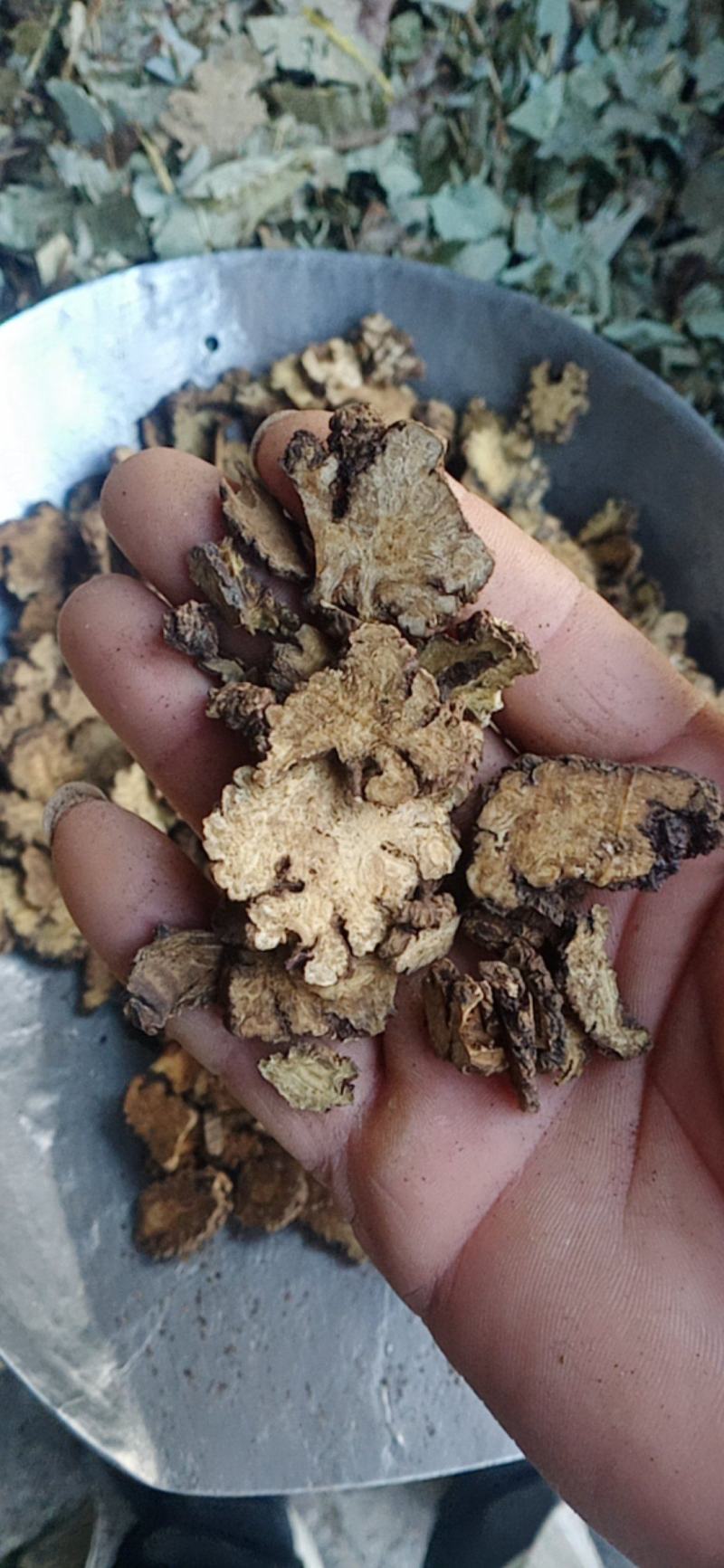 【川芎】产地货源大货供应量大优惠规格齐全质量保证。