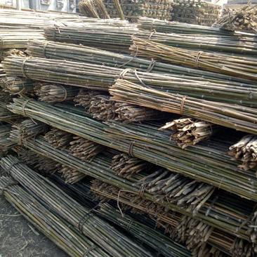 2.8米菜架竹，节短，壁厚，有㓞性，山头价直销，价格优惠