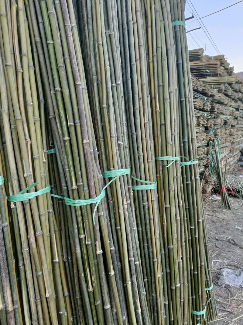2.8米菜架竹，节短，壁厚，有㓞性，山头价直销，价格优惠