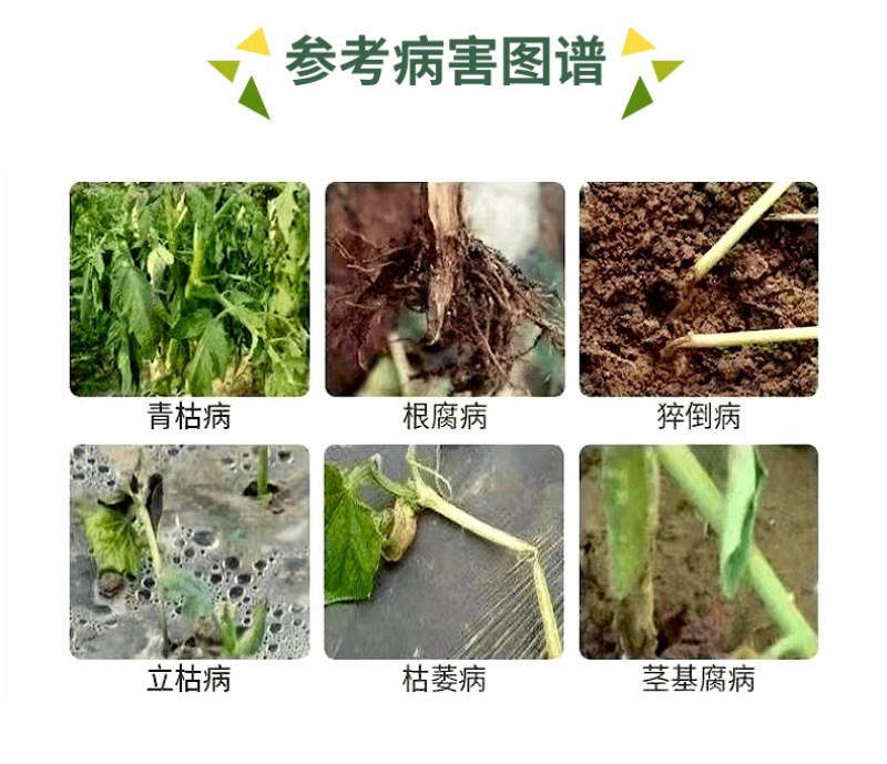 30%甲霜恶霉灵青枯病根腐病立枯病烂根死苗根部病害杀菌剂
