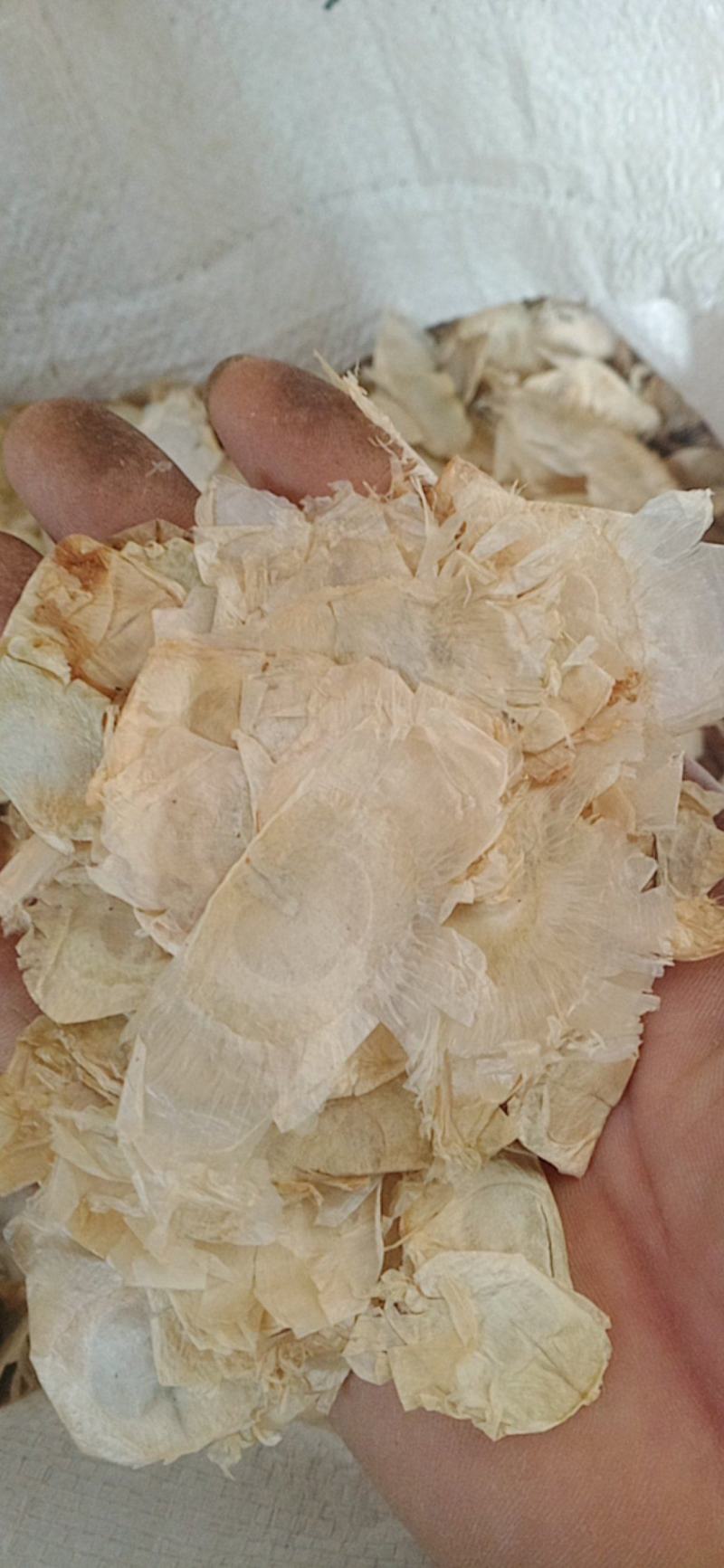 木蝴蝶..中药材批发.质量保证规格齐全.