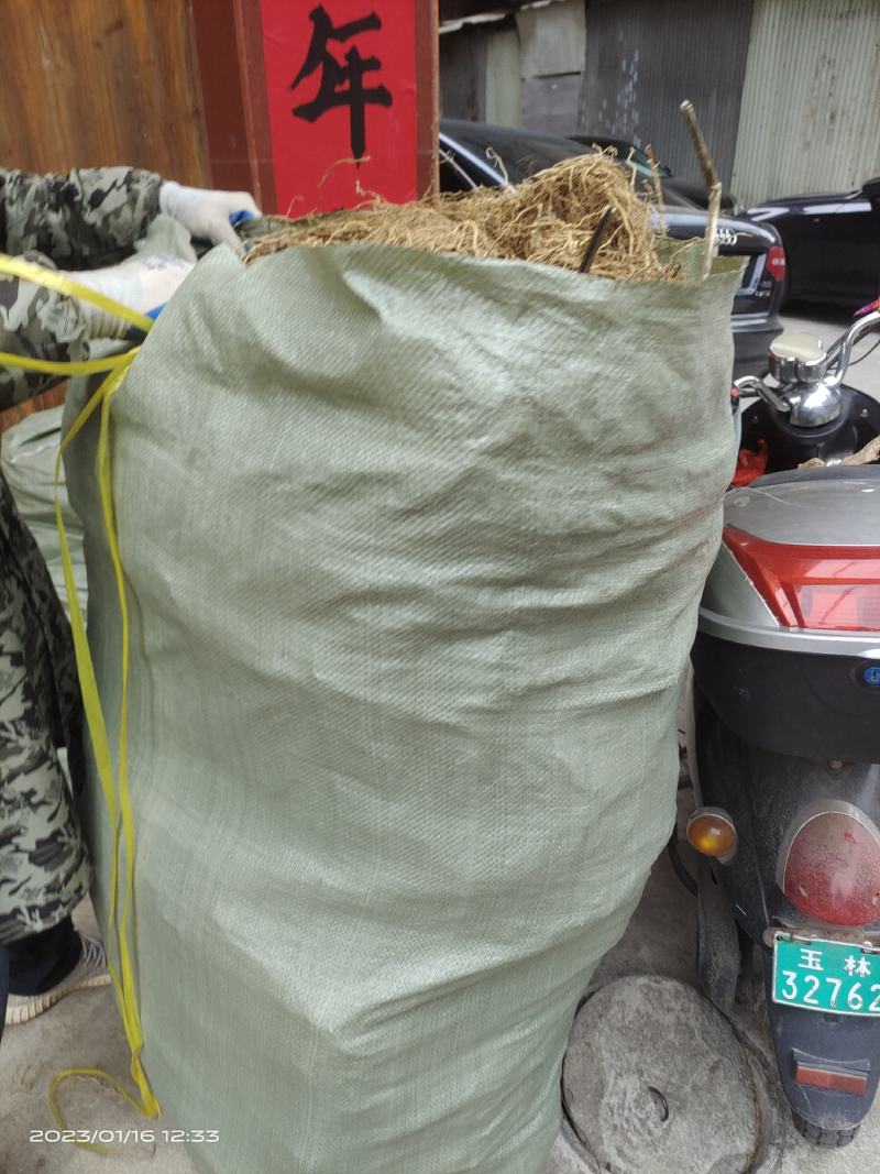 中药材水田七牛尾诀原色批发零售欢迎咨询