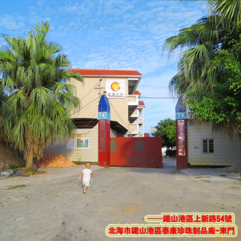 北海紫贝子_紫贝齿子_绿贝齿_紫文贝_狗支螺_南蛇牙齿