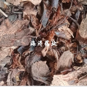 【绵马贯众】.中药材批发.质量保证规格齐全.