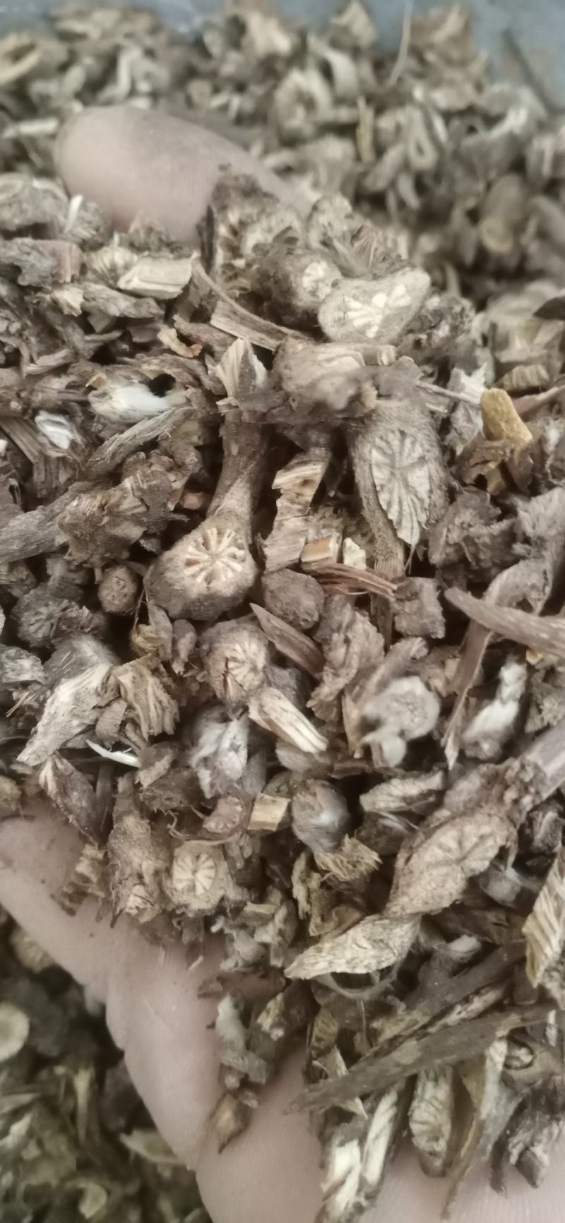 【白头翁】.中药材批发.质量保证规格齐全.
