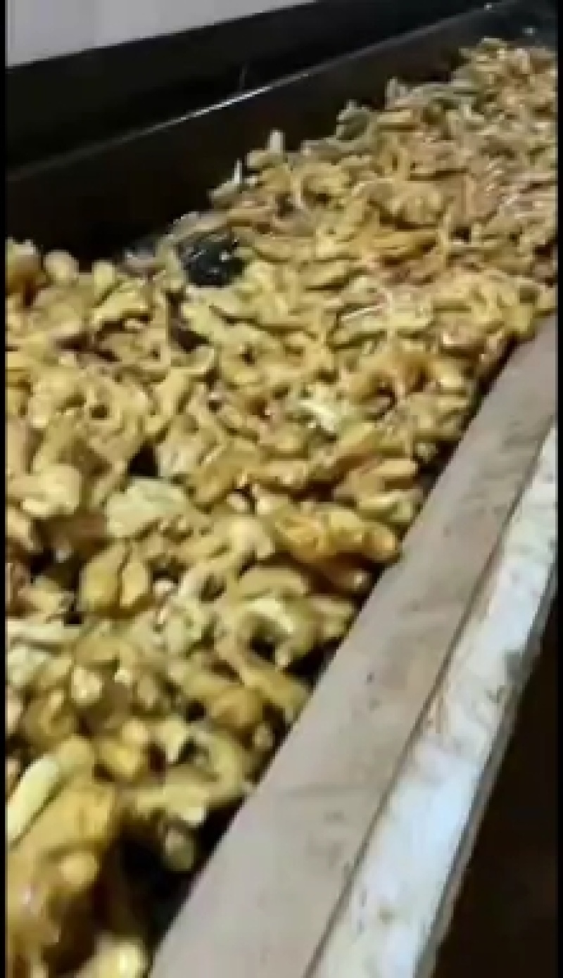 《生姜》山东生姜产地精品姜小黄姜面包姜，承接电商全国发货