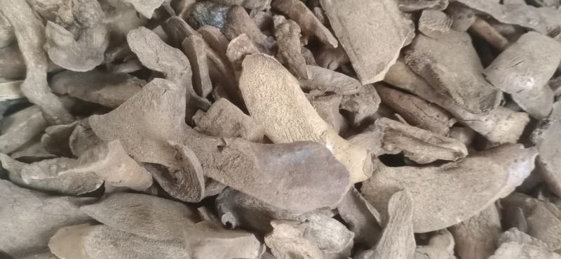 【炒毛姜】骨碎补.中药材批发.质量保证规格齐全.