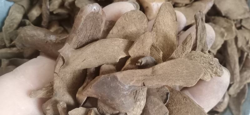 【炒毛姜】骨碎补.中药材批发.质量保证规格齐全.