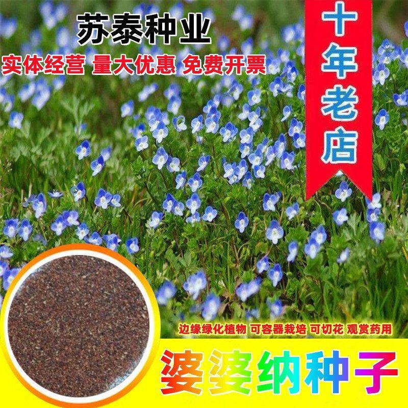 温度大多数花草适宜的生长温度是15~25C，冬季低于5