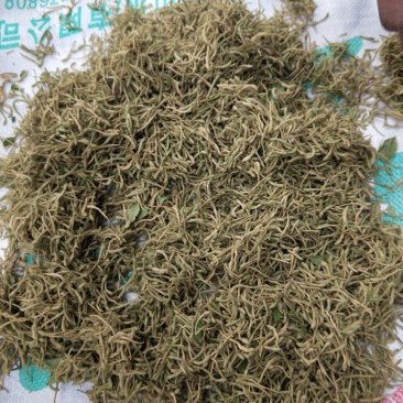 河南地产金银花