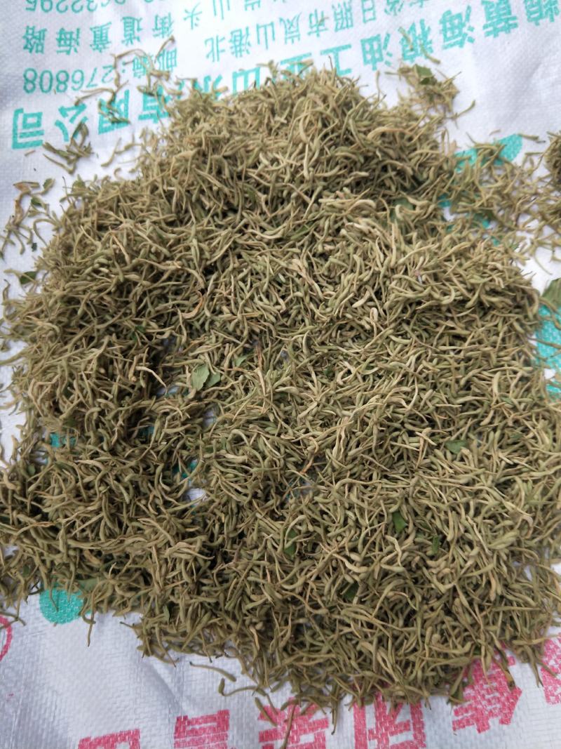 河南地产金银花