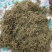 河南地产金银花