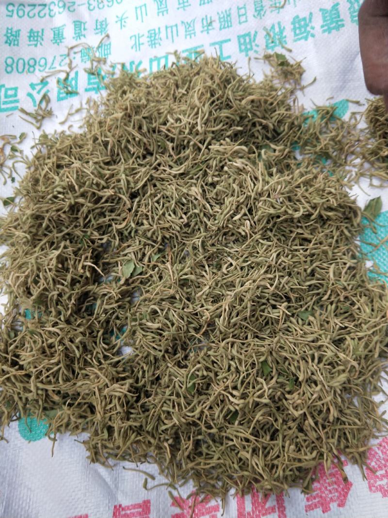 河南地产金银花