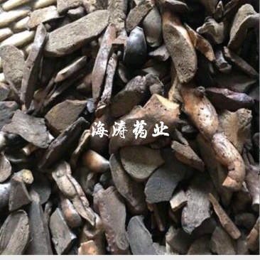 【炒毛姜】骨碎补.中药材批发.质量保证规格齐全.