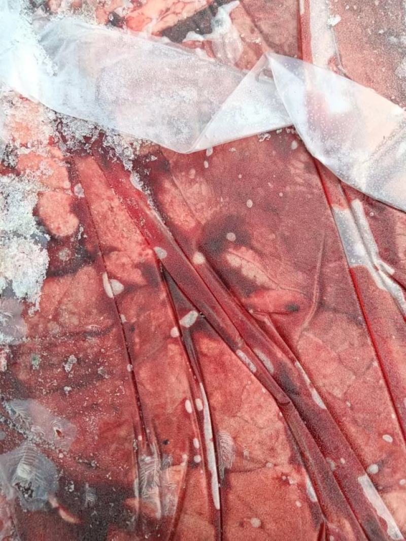 猪肺，大厂货质量好，纯干无水，货源充足，价格合理。
