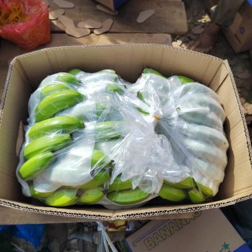 香蕉