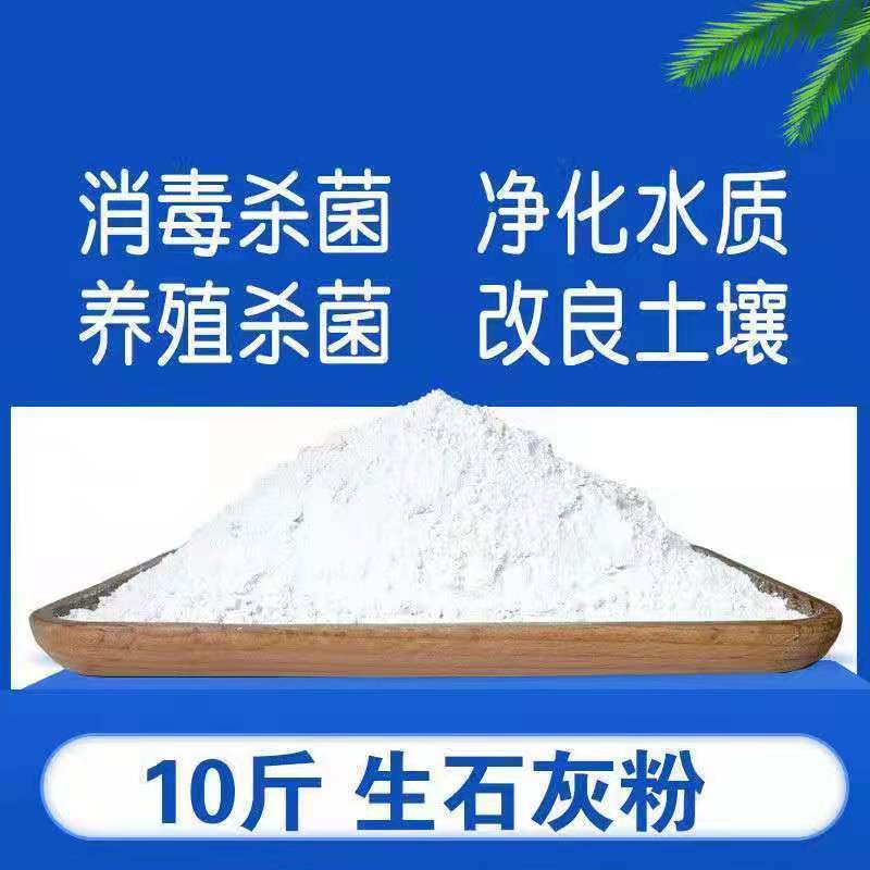 生石灰粉块室内防潮防霉干燥剂养殖除湿驱虫净水石灰