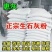 生石灰粉块室内防潮防霉干燥剂养殖除湿驱虫净水石灰