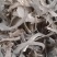 【水牛角】中药材批发.质量保证规格齐全.