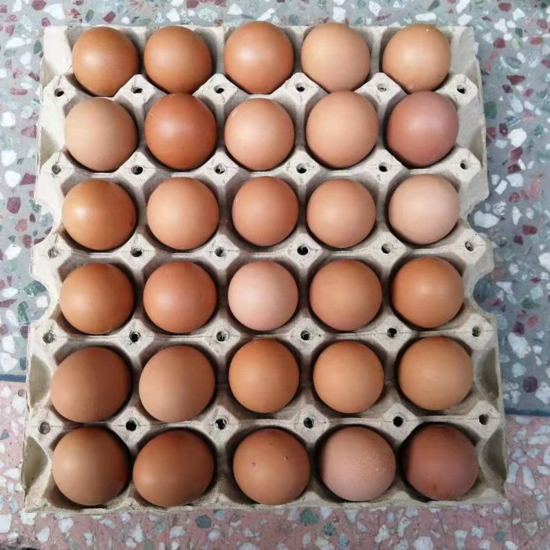 厂家发货30枚纸浆鸡蛋托盘包装盒纸托盘幼儿园手工DIY运