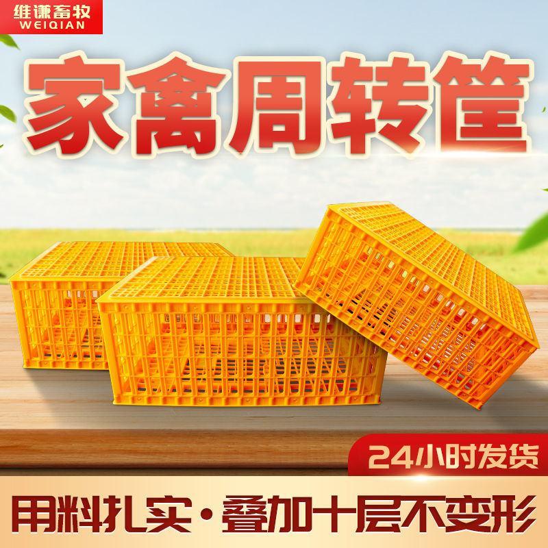 【量大优惠】鸡笼周转箱家用大号加厚防摔养殖运输塑料鸡鸭笼