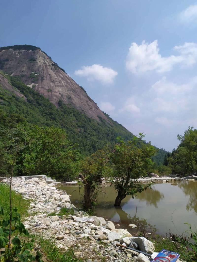 （包邮）大别山野生葛根粉手工葛根粉质量保证欢迎采购