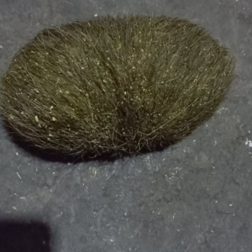 新鲜猪砂（600克）一个出售。
