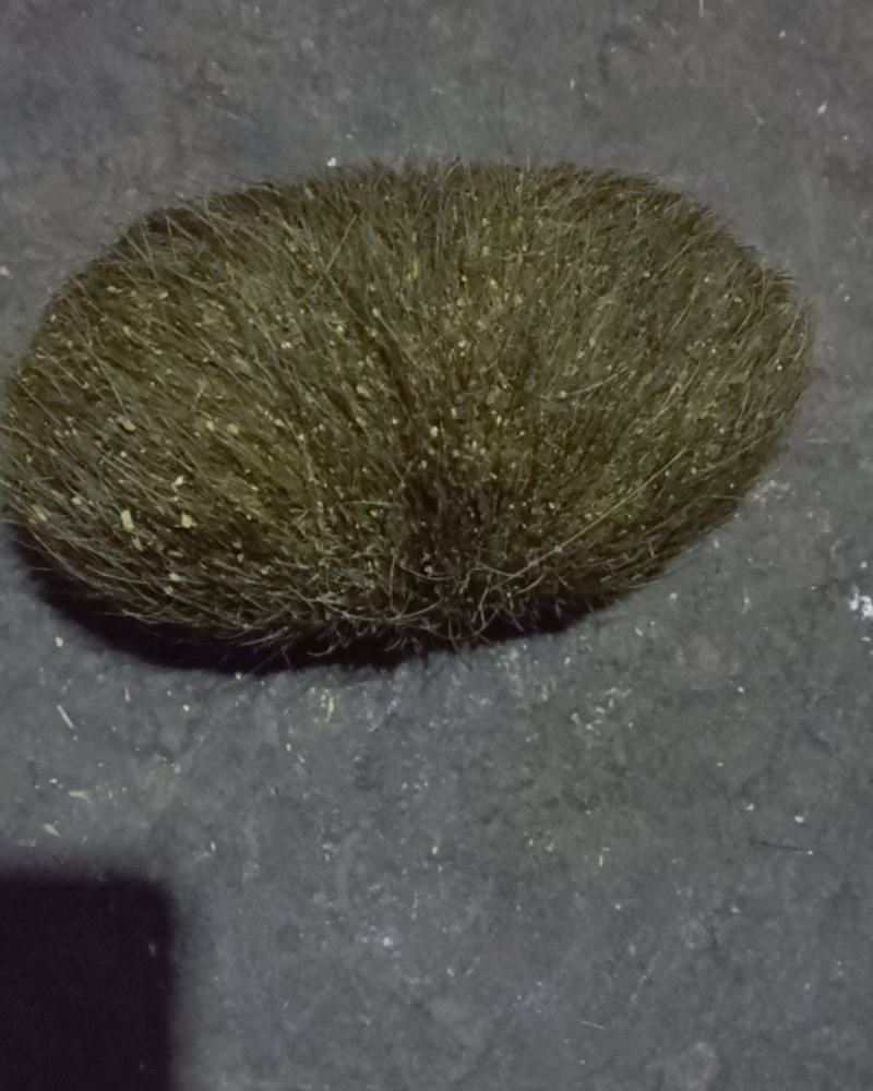 新鲜猪砂（600克）一个出售。