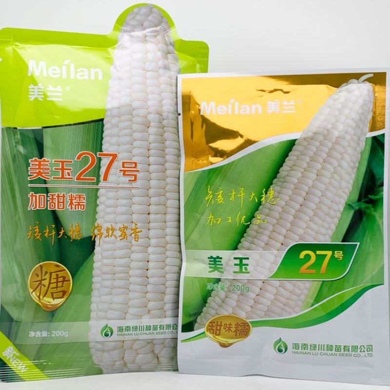 美玉27号白甜糯玉米种子大棒非转甜加糯矮杆200克原装
