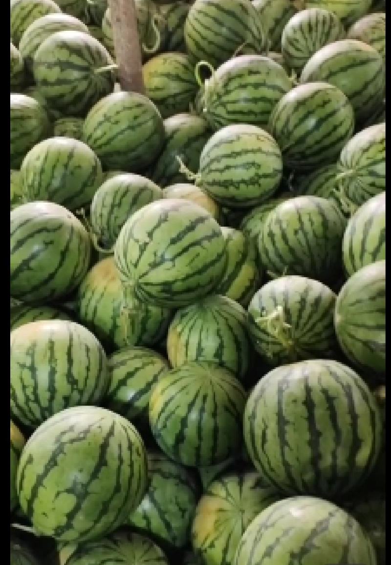 麒麟西瓜大量供应现货供应