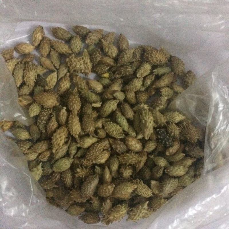 【苍耳子】.中药材批发.质量保证规格齐全.