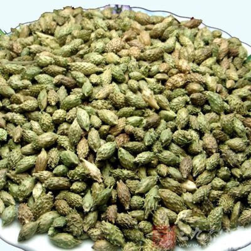 【苍耳子】.中药材批发.质量保证规格齐全.