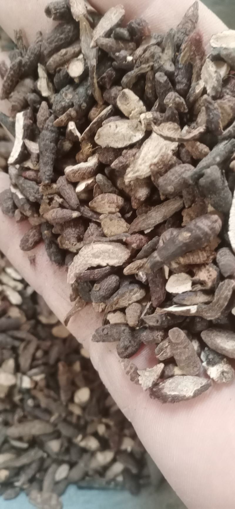 【香附】香附个子片子.炙香附..中药材批发.质量保证规格