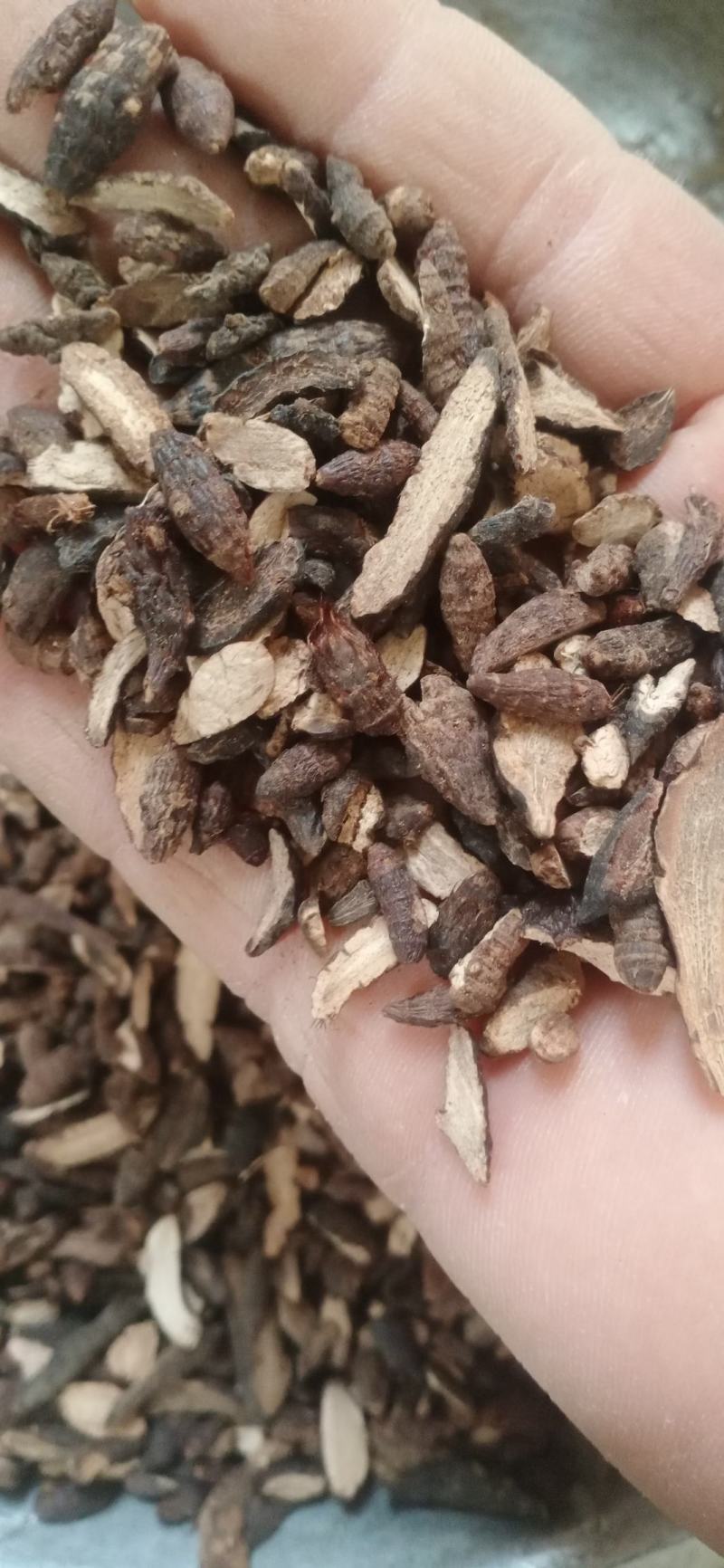 【香附】香附个子片子.炙香附..中药材批发.质量保证规格