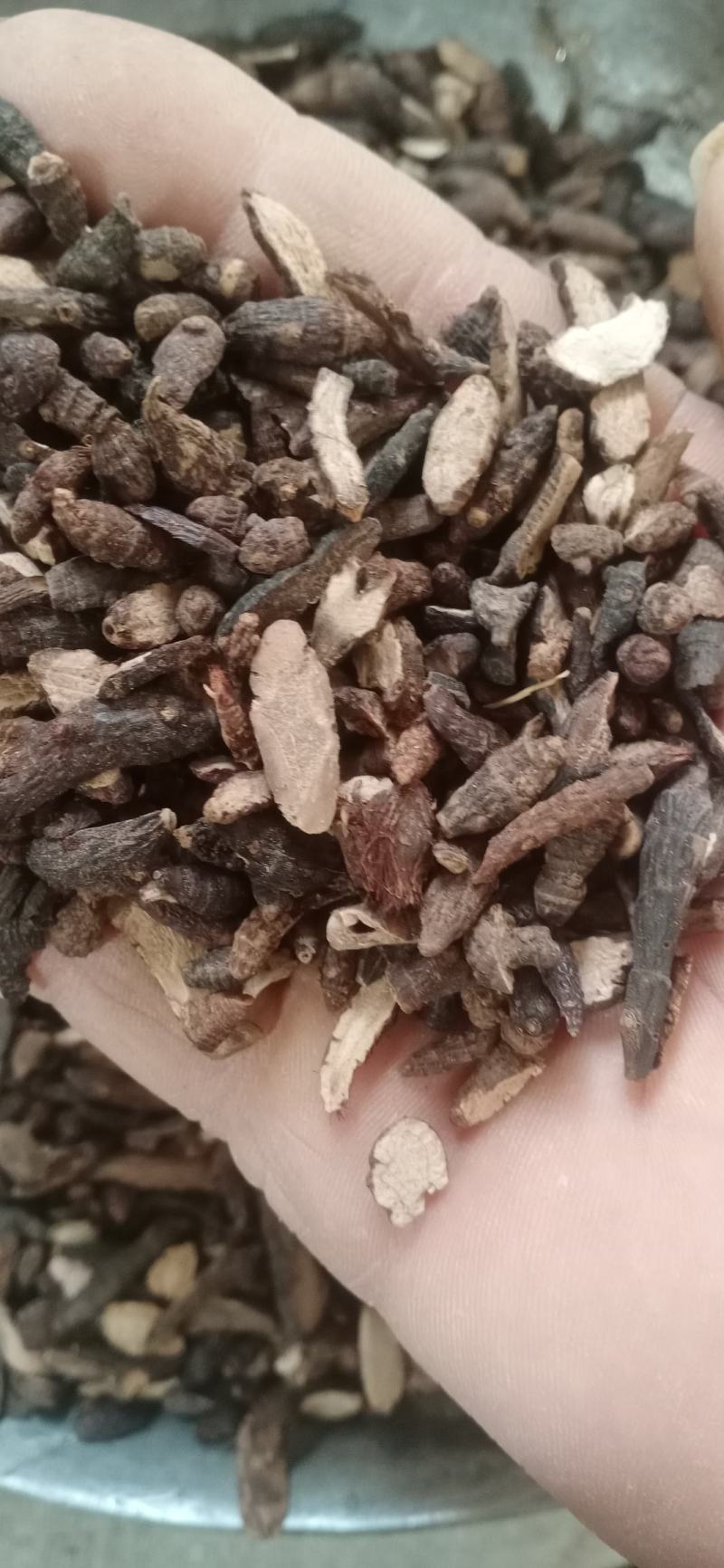 【香附】香附个子片子.炙香附..中药材批发.质量保证规格
