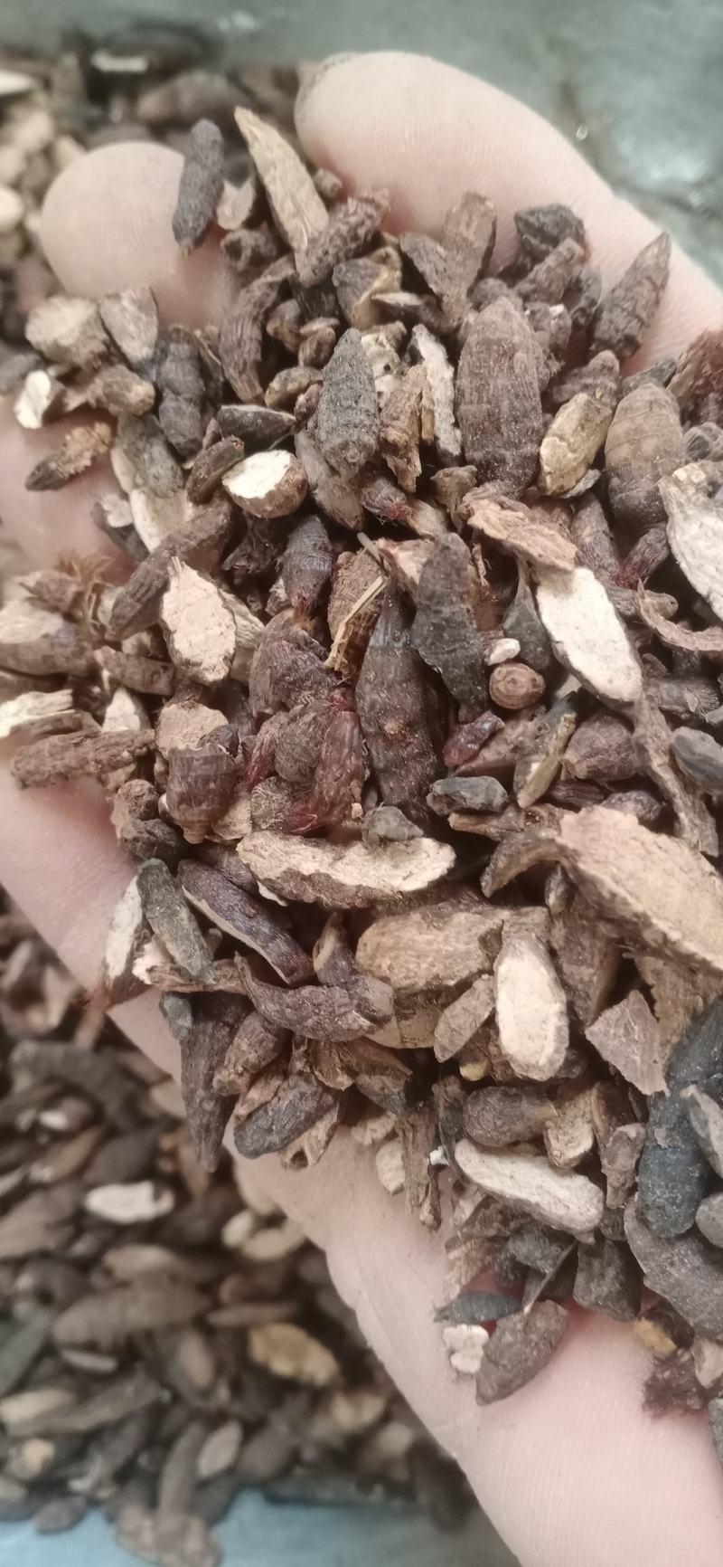 【香附】香附个子片子.炙香附..中药材批发.质量保证规格